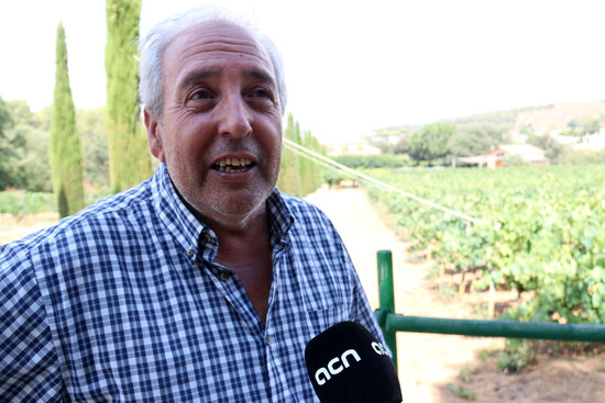 Enric Gil, co-owner of Celler Can Roda winery in Martorelles, pictured in the vineyard there, August 31, 2021 (by Guifré Jordan) 
