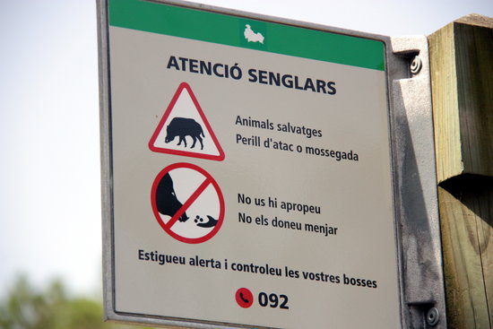 A sign warns people of the presence of wild boars in Barcelona's Collserola Park (by Belmez M) 