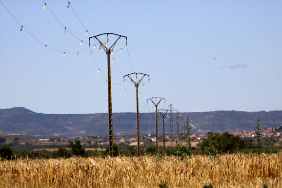 A power line running through the Belianes-Preixana drylands in western Catalonia, June 22, 2021 (by Oriol Bosch)