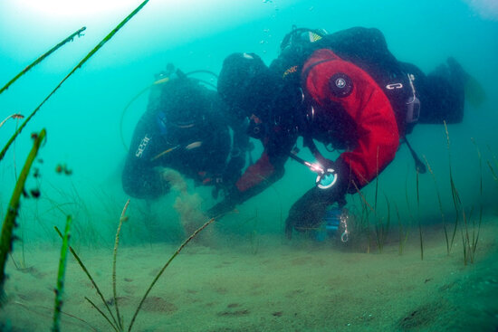 Divers studying the under water ecosystem, published on December 25, 2021 (by Bernat Garrigos)