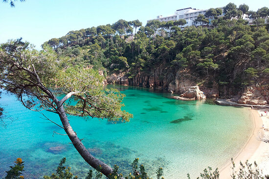 Aiguablava beach, Begur, on the Costa Brava (Ajuntament de Begur)