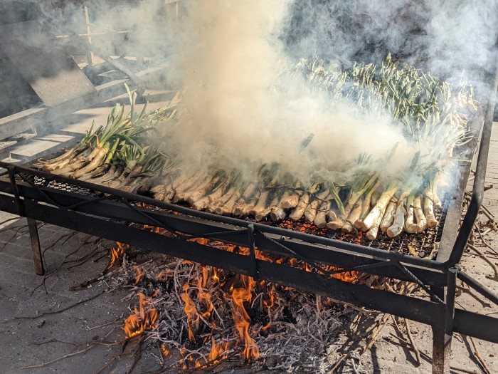 Calçots cooking over the flames at Casa Fèlix in Valls, February 9, 2022 (by Cillian Shields) 