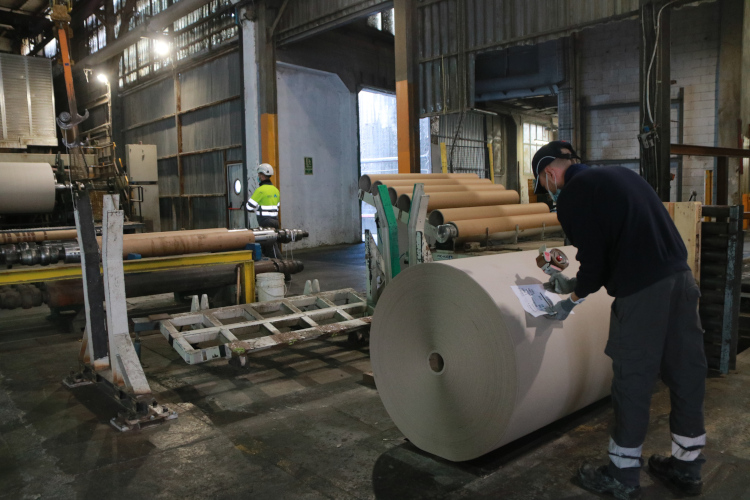 The Iberboard cardboard company plant in Alcover, western Catalonia, in March 2022 (by Ariadna Escoda)