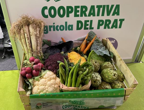 Fresh vegetables from the El Prat Agricultural Cooperative, central to the Mediterranean diet (by Cillian Shields)