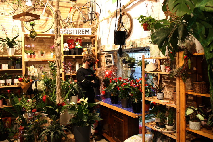 Rosistirem florist, in Barcelona, on April 20, 2021 (by Ivette Lehmann)