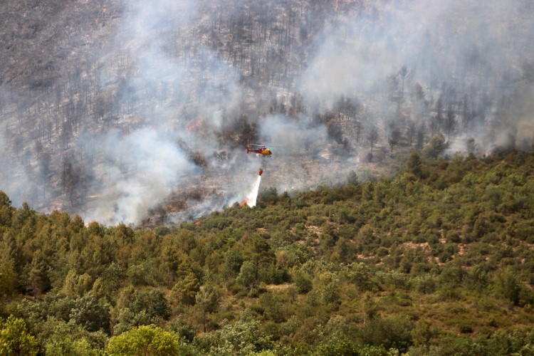 A helicopter drops water on the wildfire near Baldomar, June 15, 2022 (by Oriol Bosch) 