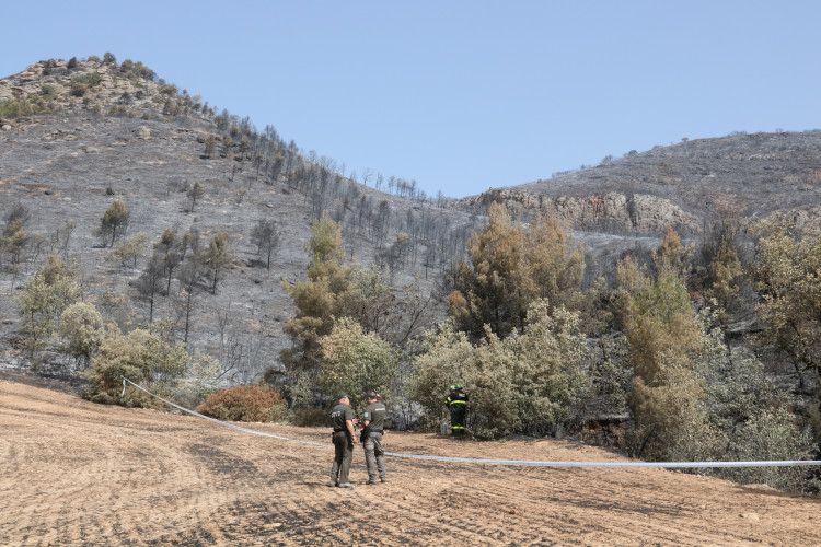 The area where the Baldomar fire began, a drone and rural officers, on June 20, 2022 (by Salvador Miret)