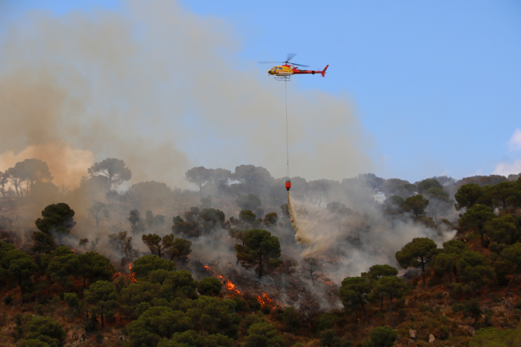 A helicopter dropping water to help putting out the fire in Castell d'Aro, on July 1, 2022 (by Ariadna Reche)