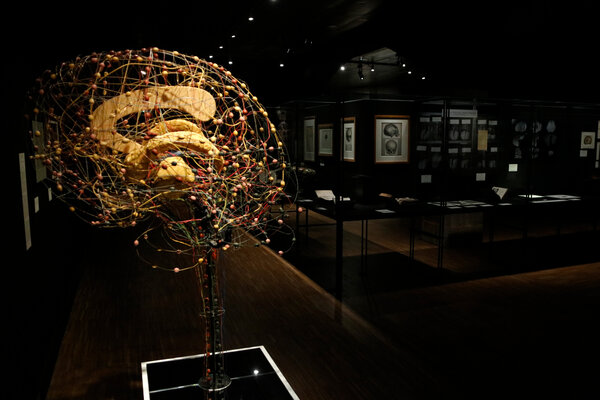 Barcelona's CCCB explores complexity of brain (By Guillen Roset)