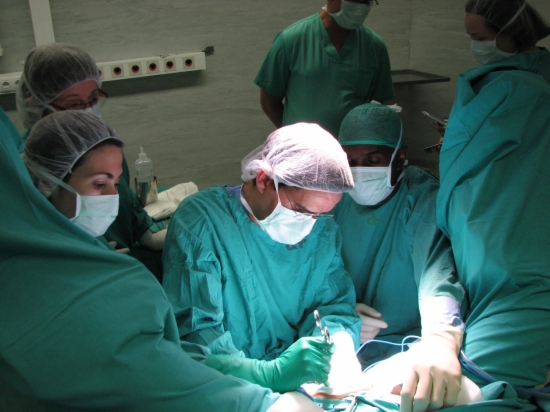 In 2012, 872 organ transplants were made in Catalonia (by ACN)