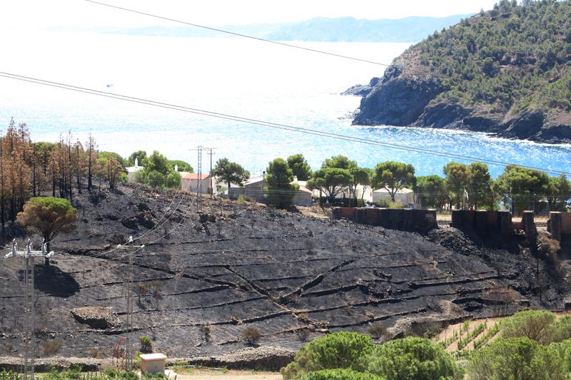 The wildfire burnt almost 600 hectares of land between Portbou and Colera