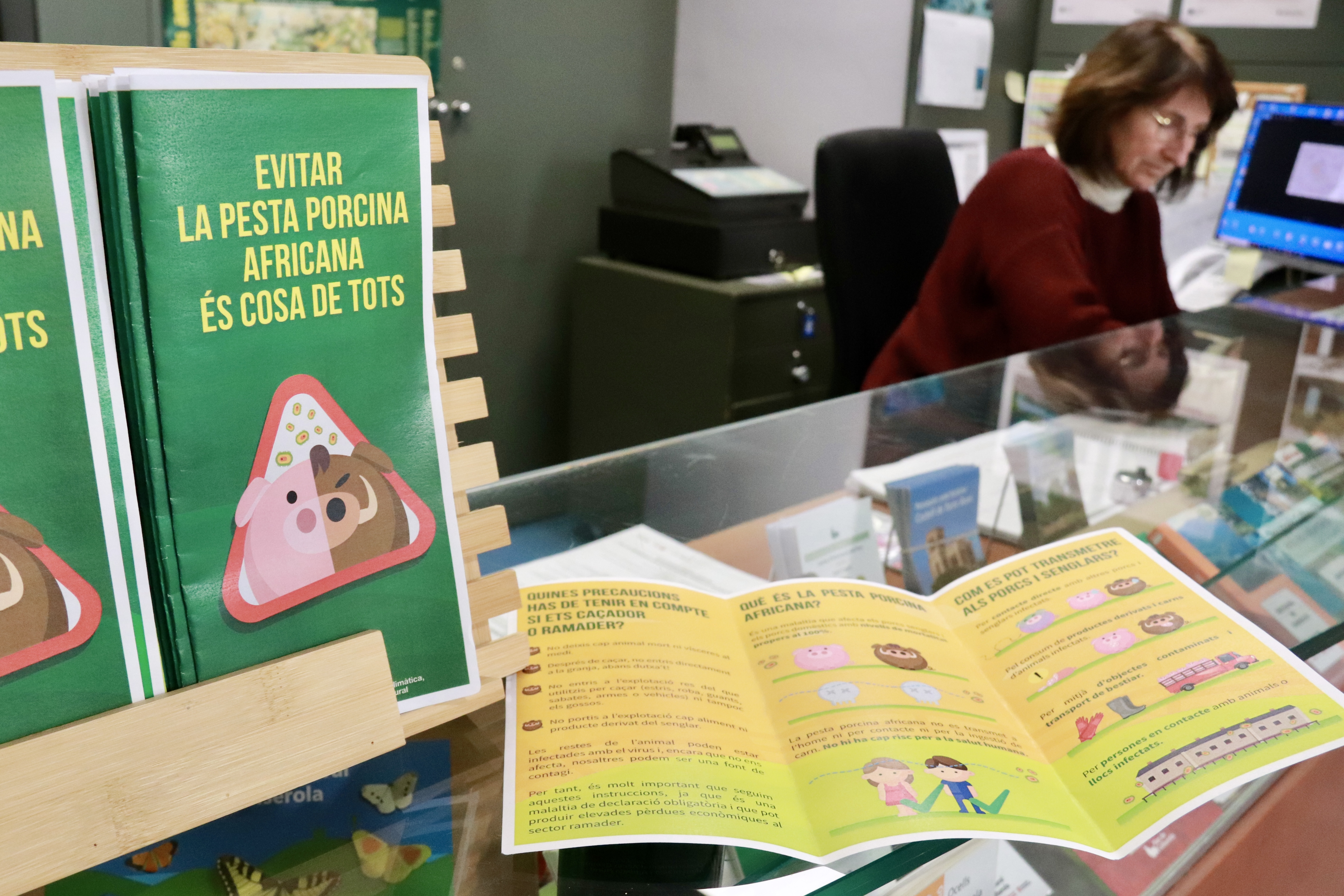 Brochure on measures to prevent the spread of African swine fever, at the information center at Collserola Natural Park
