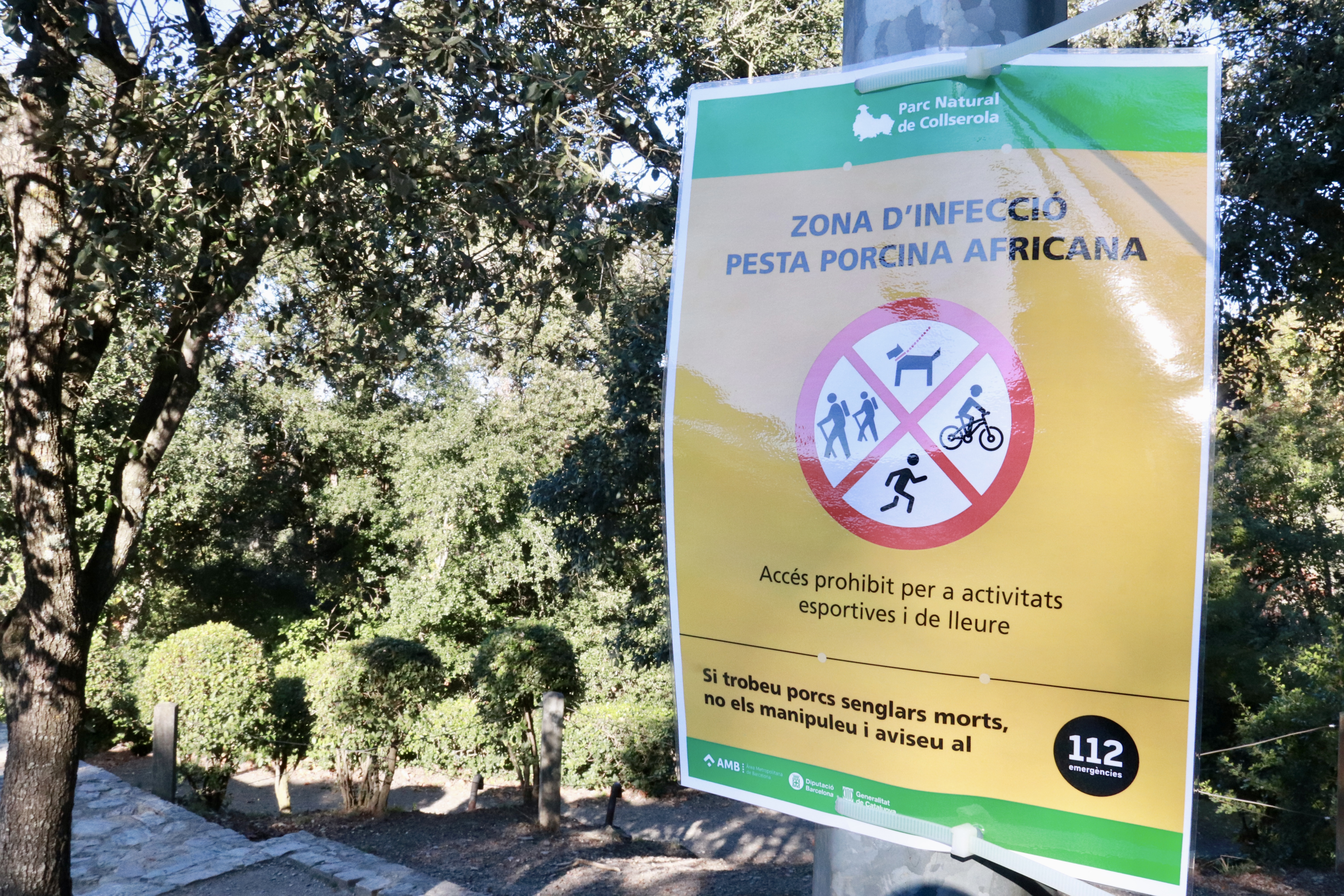 Sign outlining restrictions to prevent the spread of African swine fever, displayed at the information center at Collserola Natural Park