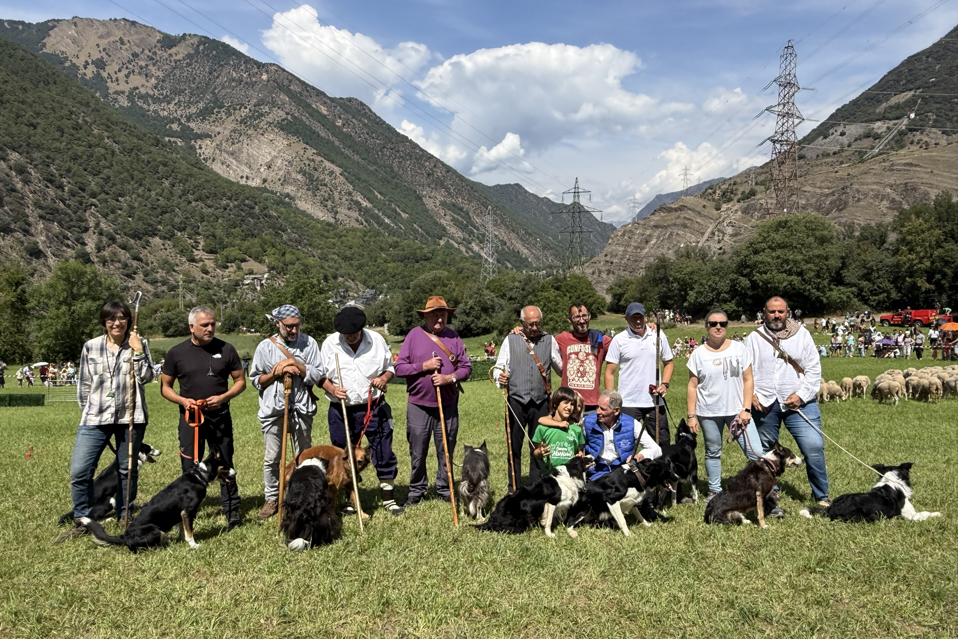 The 11 shepherd and sheepdog competitors