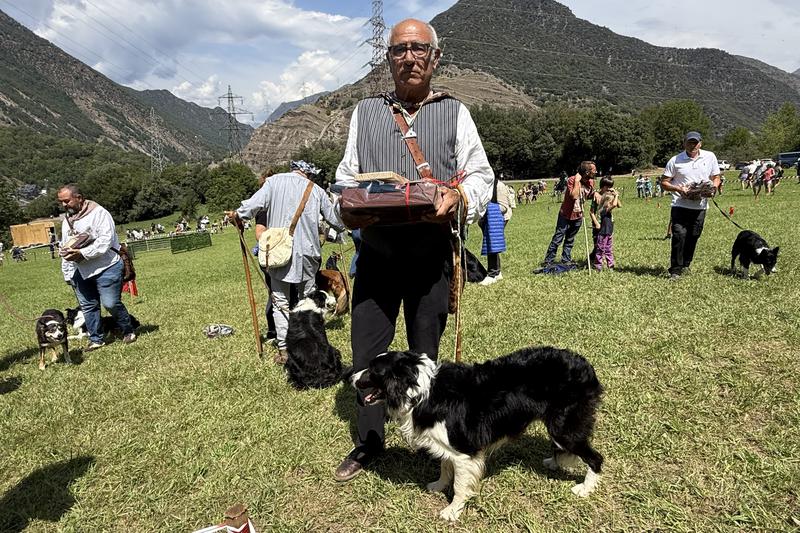 Champion shepherd Miquel Adrover and his dog Ron