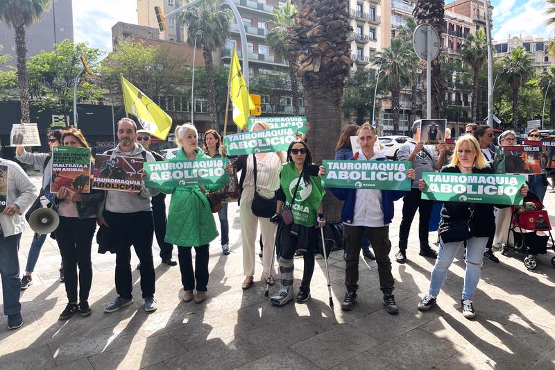 PACMA party animal rights activists protesting in front of La Monumental bullfighting arena on May 16, 2024 coinciding with the International Bullfighting Day