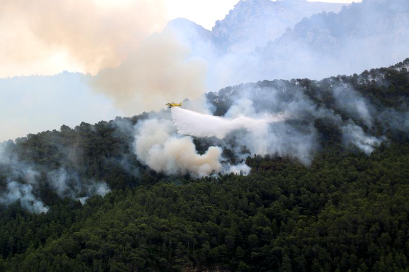 A plane releases water over burning pine trees in southern Catalonia