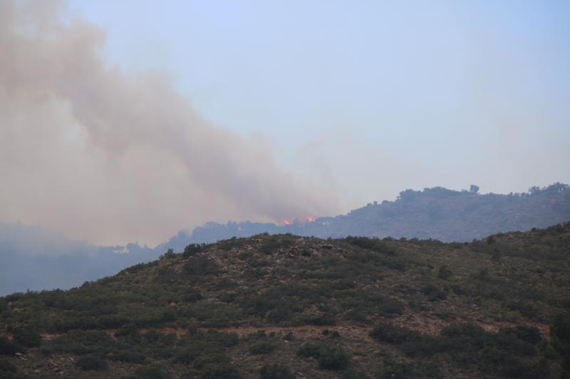 The first flames of the wildfire that began in Northern Catalonia entering Portbou