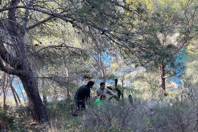 Environmental officials near Roses in northern Catalonia