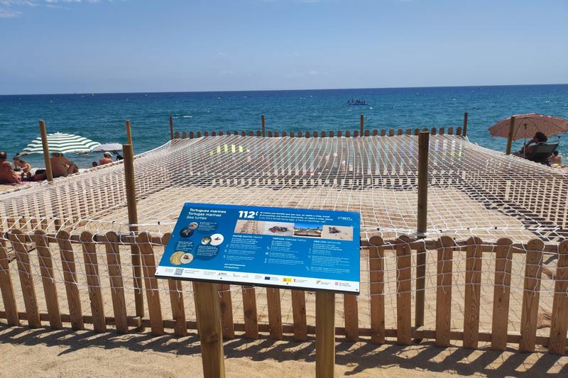 Area where a sea turtle laid a nest in Platja d'Aro's Platja Gran beach in July 2025