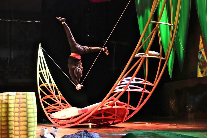 A moment of Cirque du Soleil performers rehearsing the show 'Ovo' in Tarragona