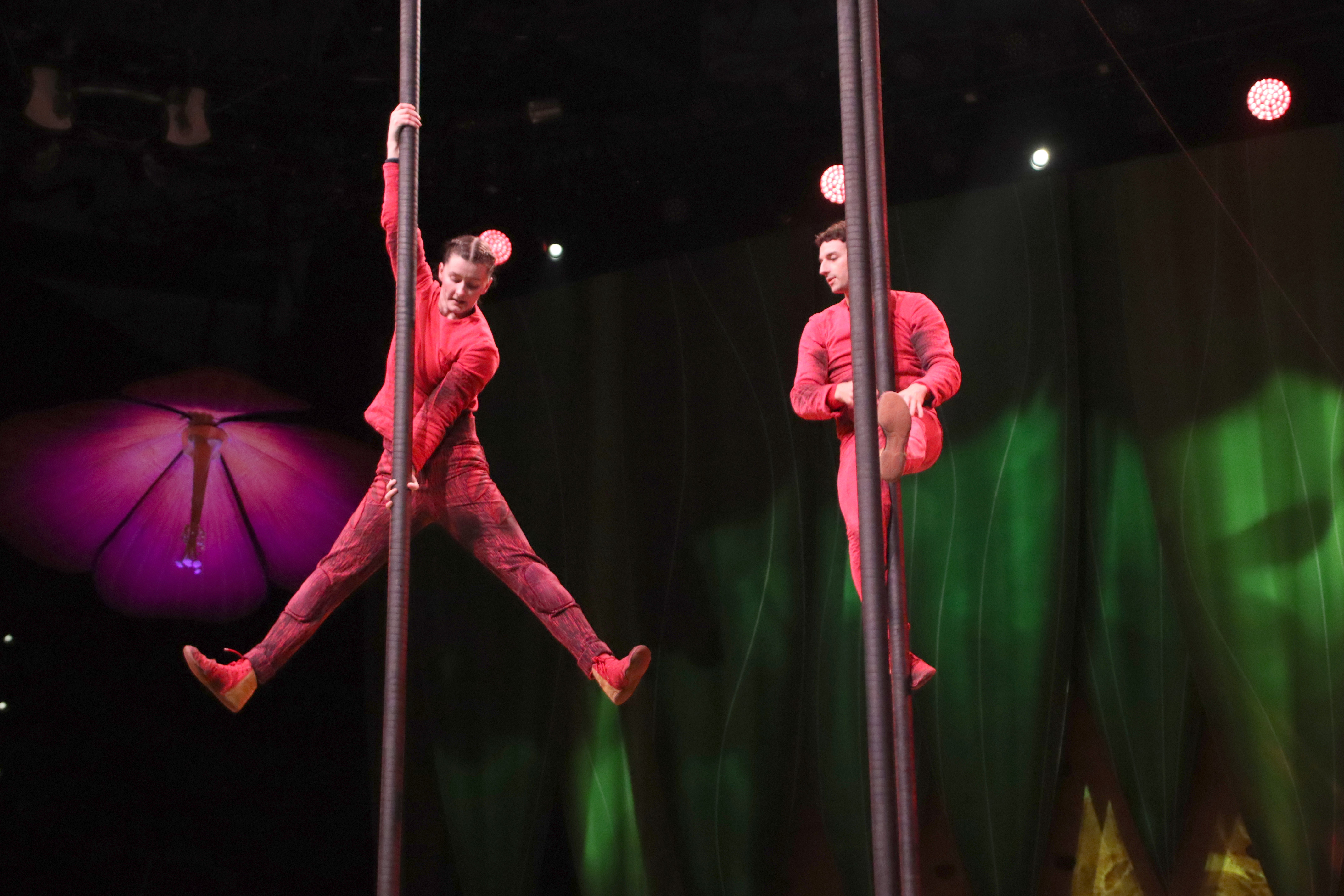 Rehearsal of Cirque du Soleil's show 'Ovo' ahead of the start of the European tour in Tarragona