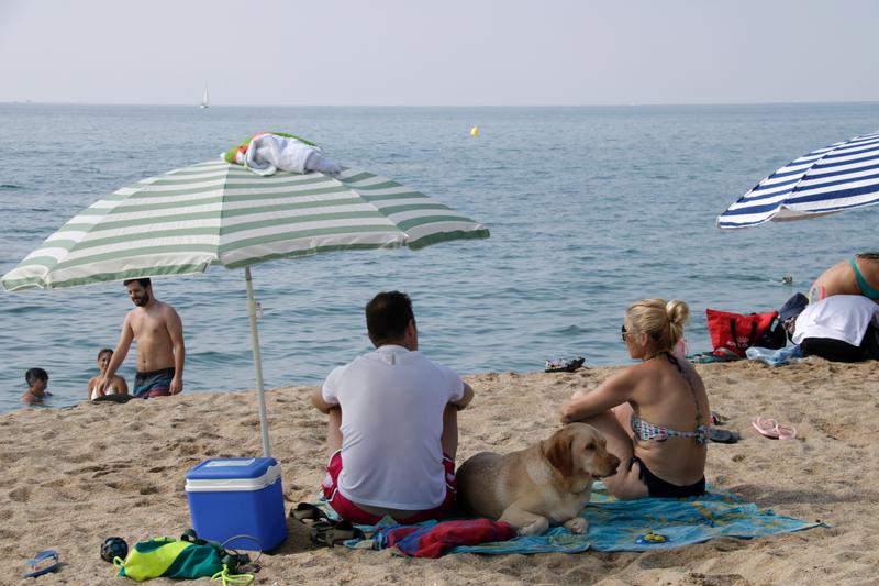 A pet-friendly beach with dogs in Mataró