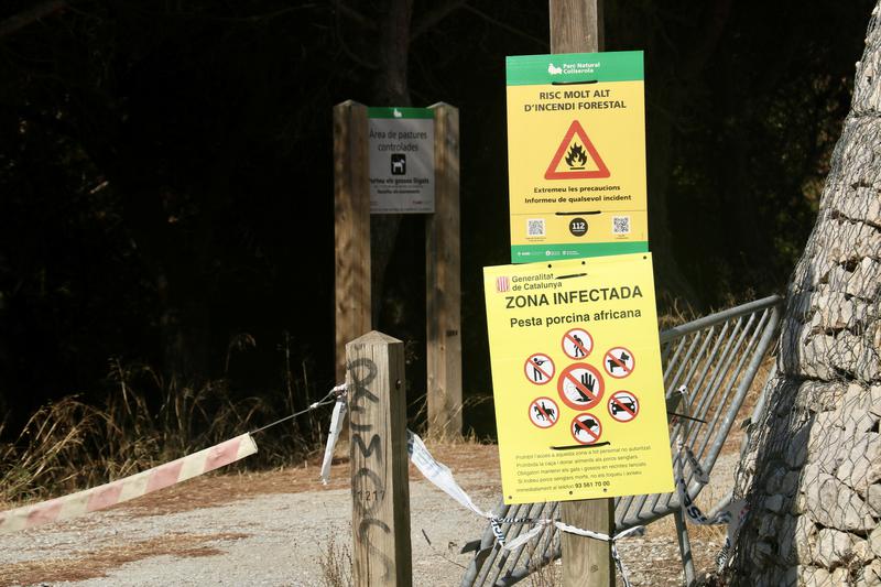 Batlle demana no anar a Collserola per veure l’eclipsi per la PPA i recorda que hi ha altres punts habilitats