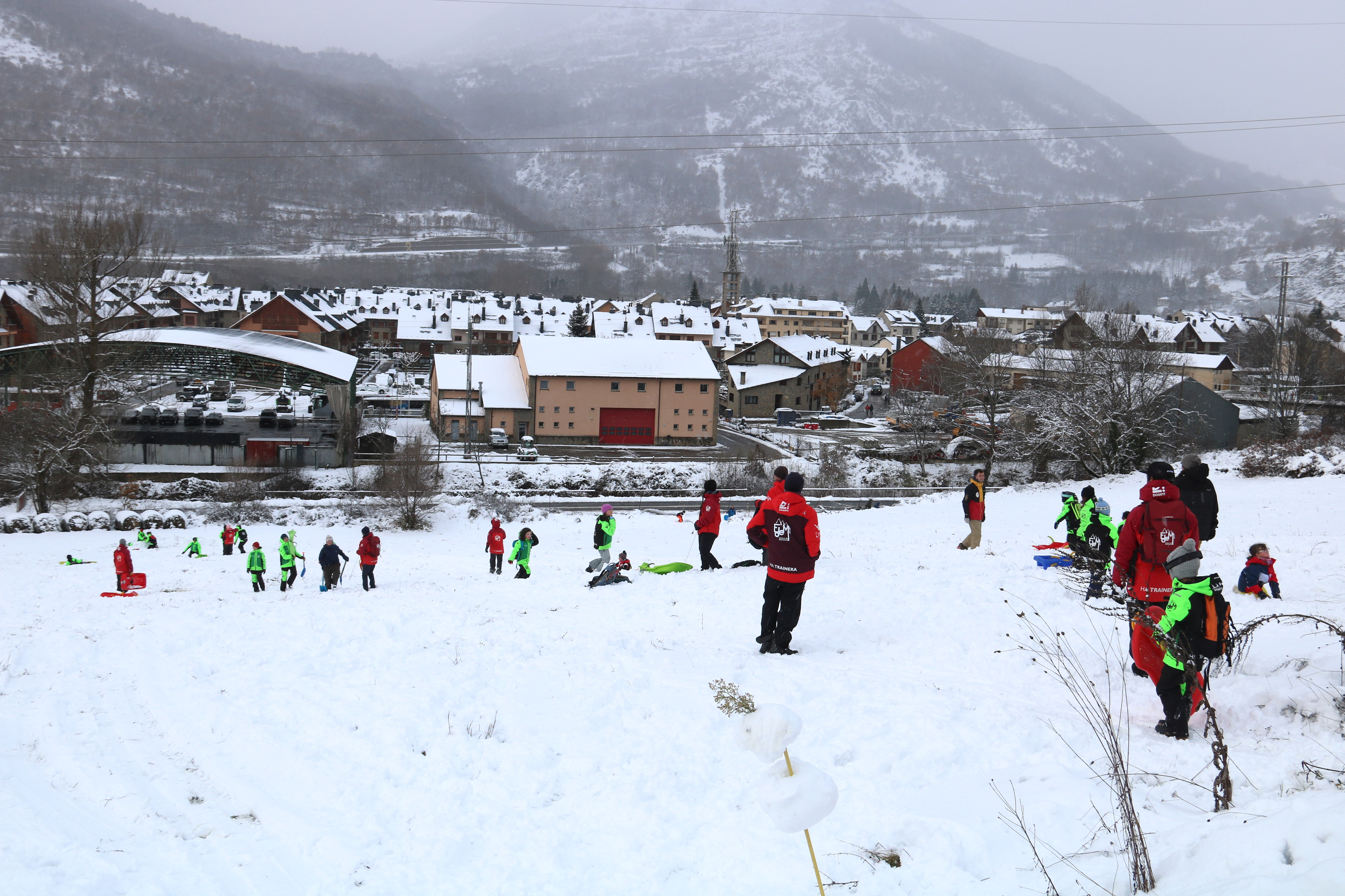 Esterri d'Àneu covered in snow