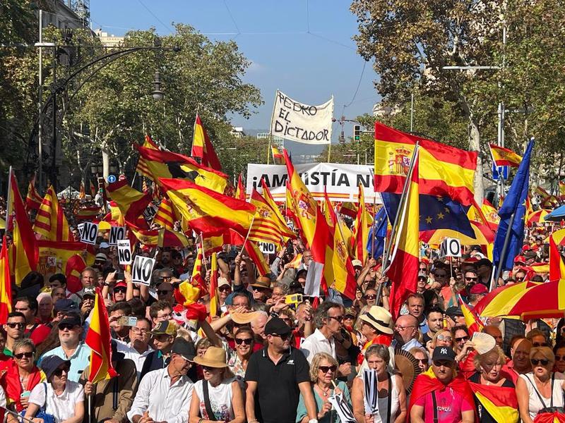 Protesters at the rally against amnesty and self-determination organized by Societat Civil Catalana in Barcelona