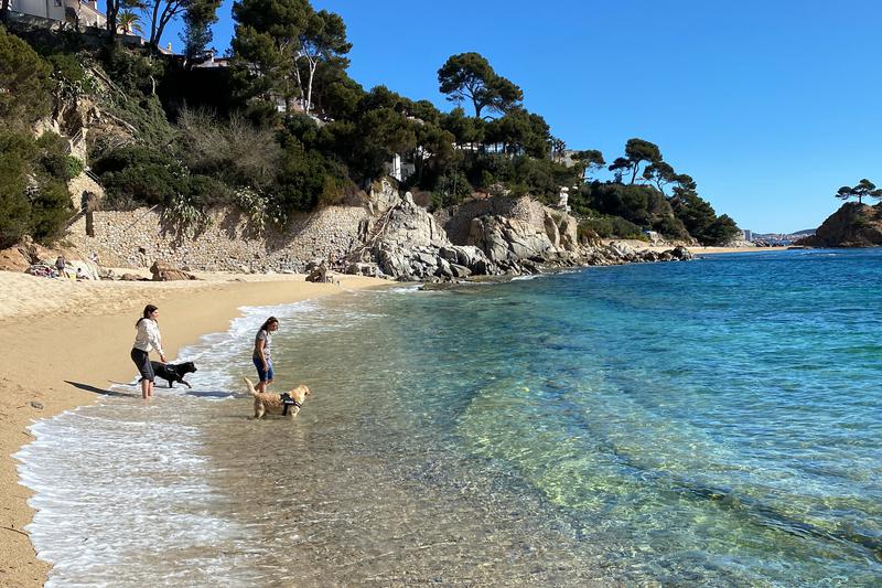 A beach suitable for dogs between Calonge and Platja d'Aro
