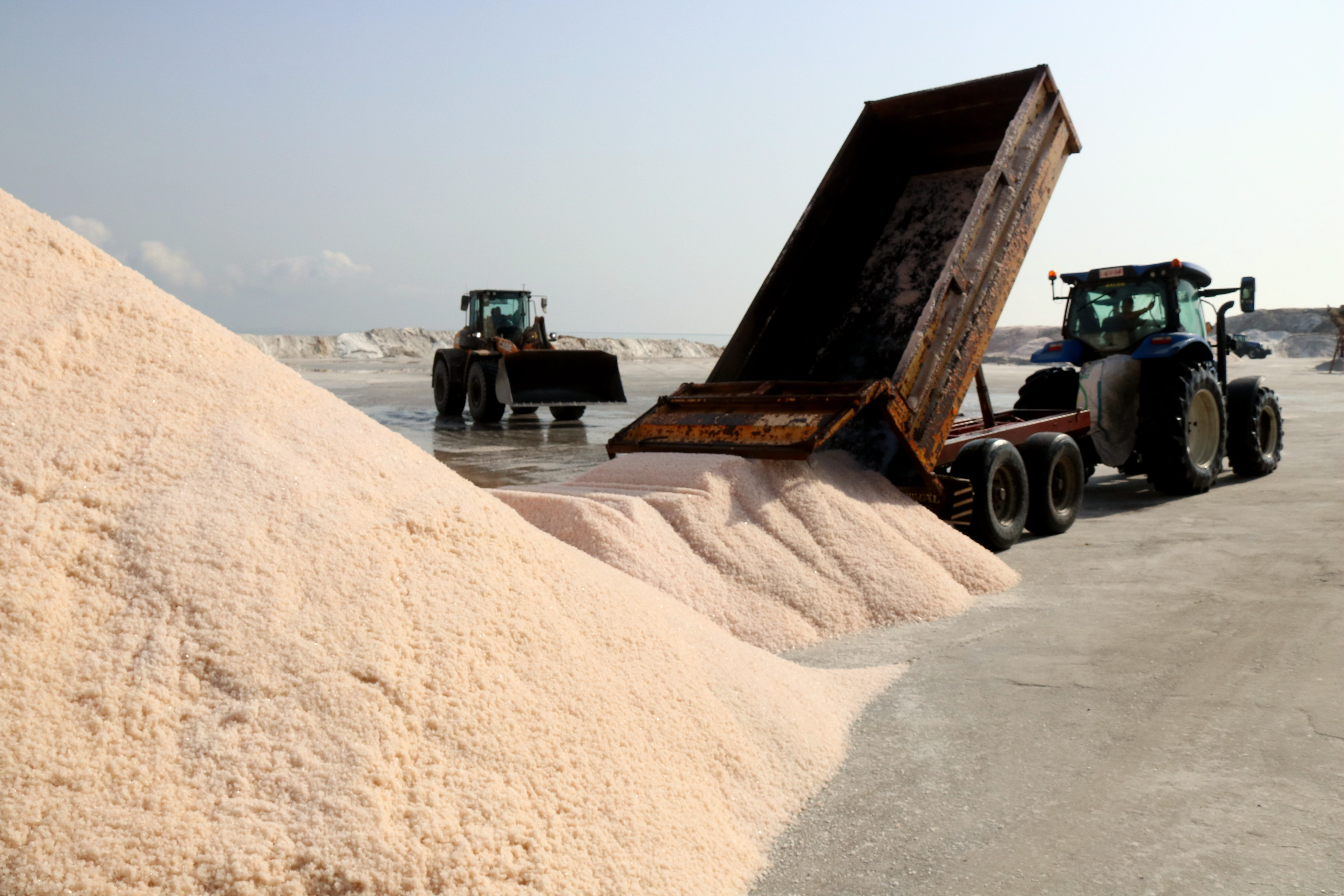 Tractors at work harvesting salt at La Trinitat salt flats in the Ebre Delta, southern Catalonia