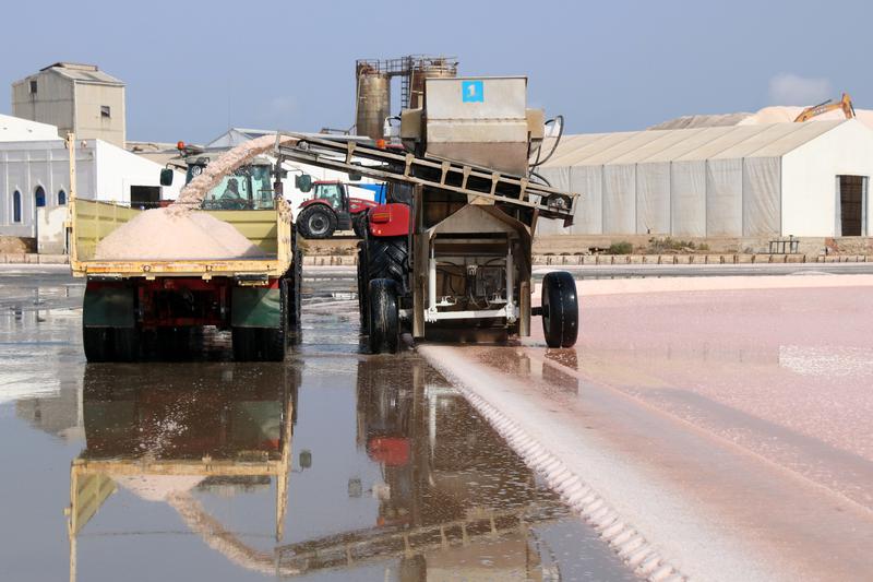 Tractors at work harvesting salt at La Trinitat salt flats in the Ebre Delta, southern Catalonia