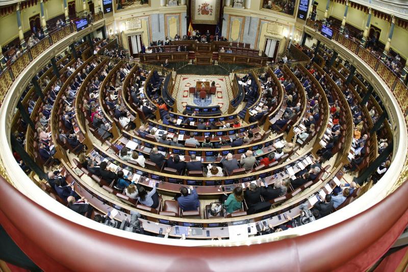 The Spanish Congress debates the amnesty bill on January 30