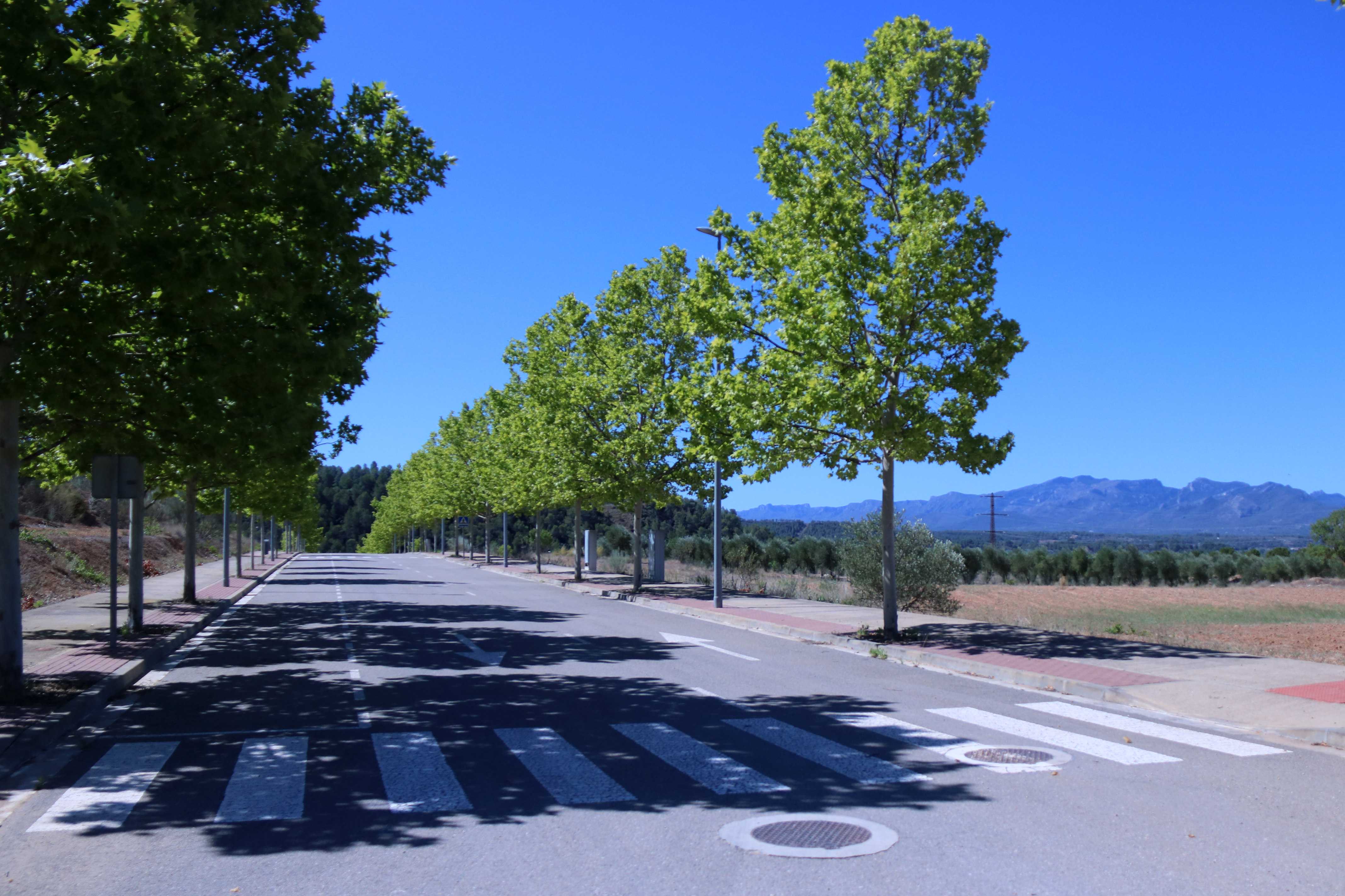One of the streets of the Molló industrial estate