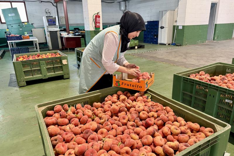 Cooperatives del Baix Segre tancaran abans les portes i els treballadors ajustaran els horaris per veure l'eclipsi solar