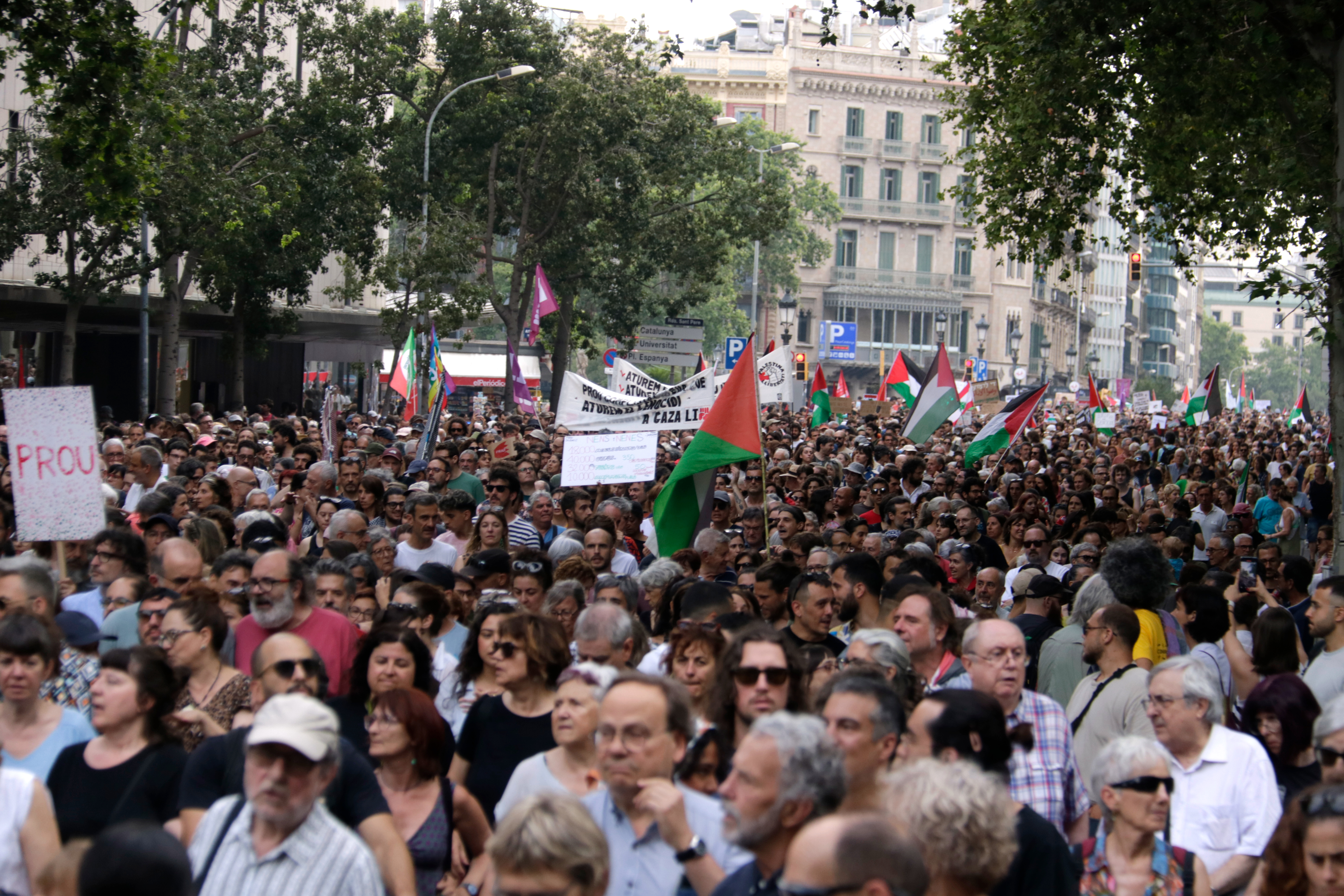 A packed Ronda de Sant Pere during the protest in solidarity with Palestine and against Israel's 'genocide'