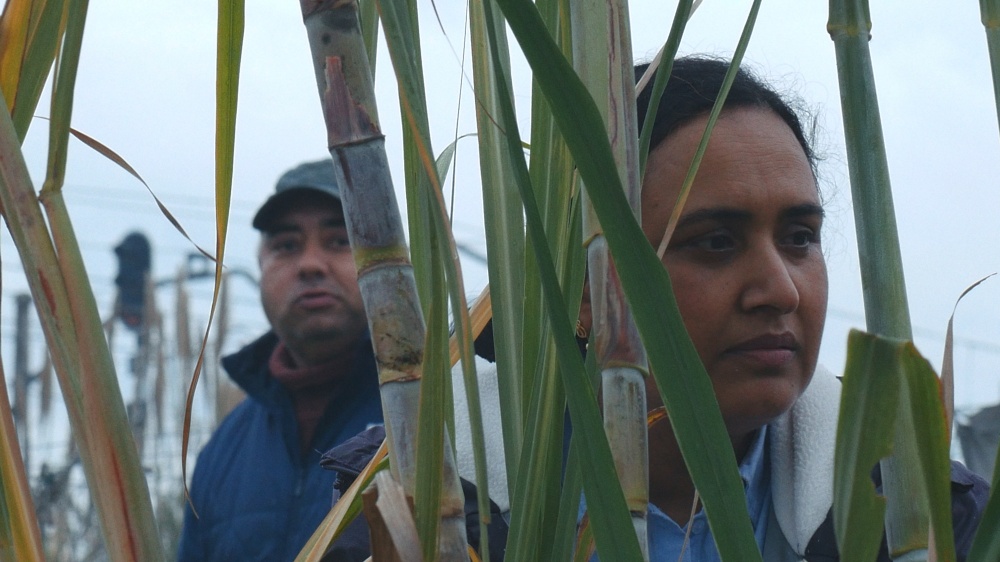 A scene from the film 'Historias del buen valle,' directed by José Luis Guerin
