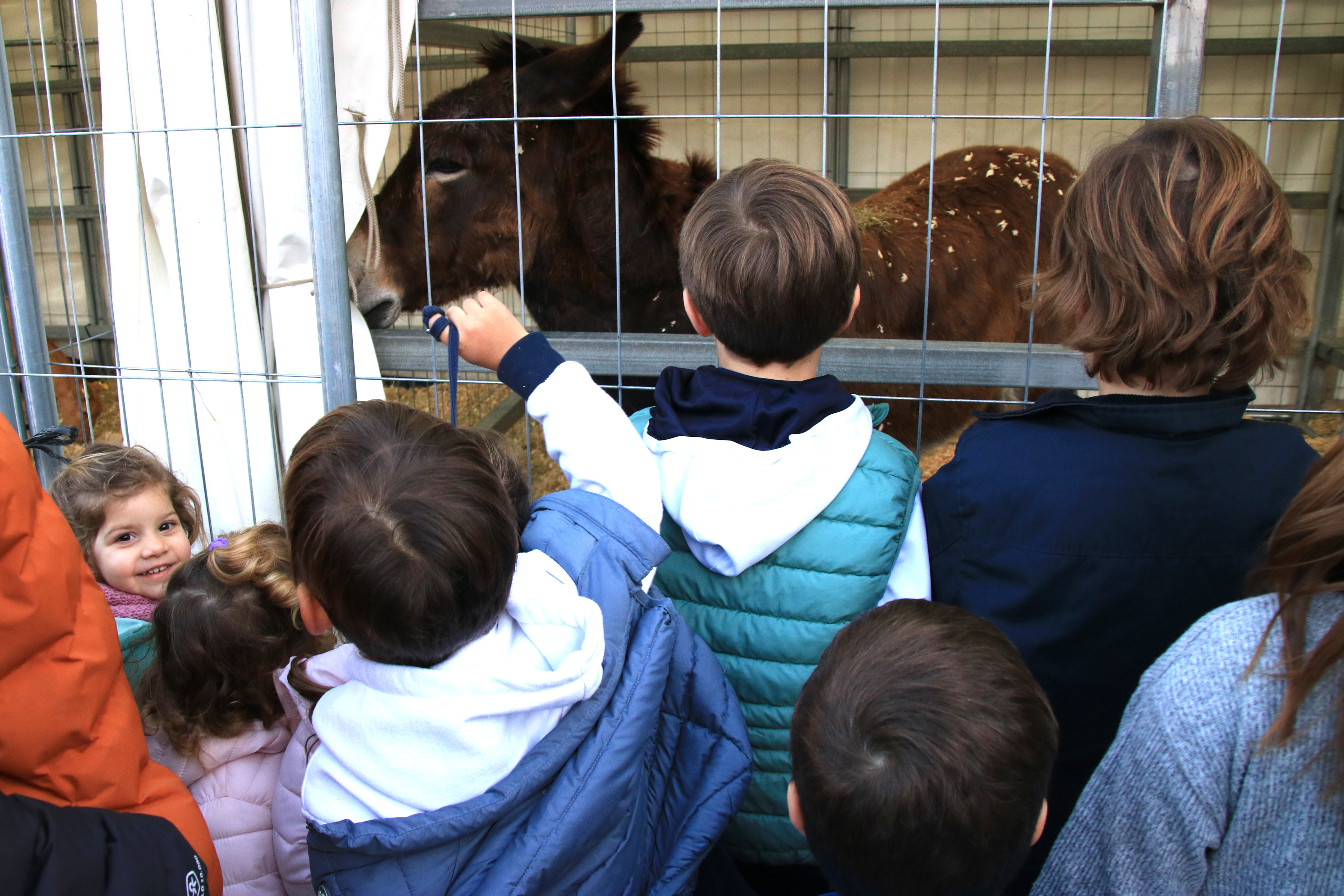 Children with animals at La Candelera fair in Molins de Rei