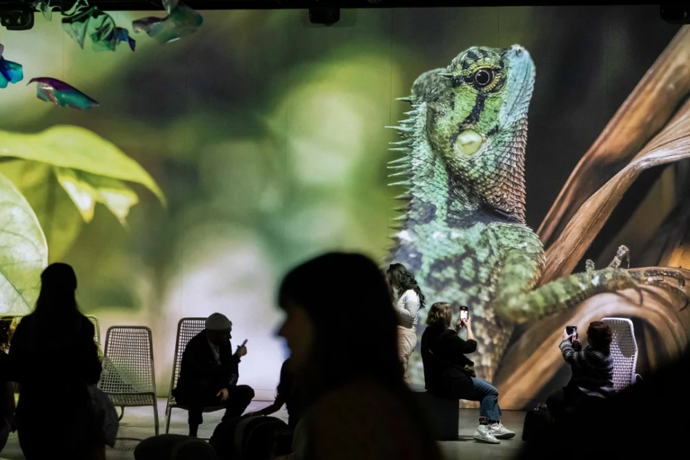 An image from the 'Som Natura' exhibition