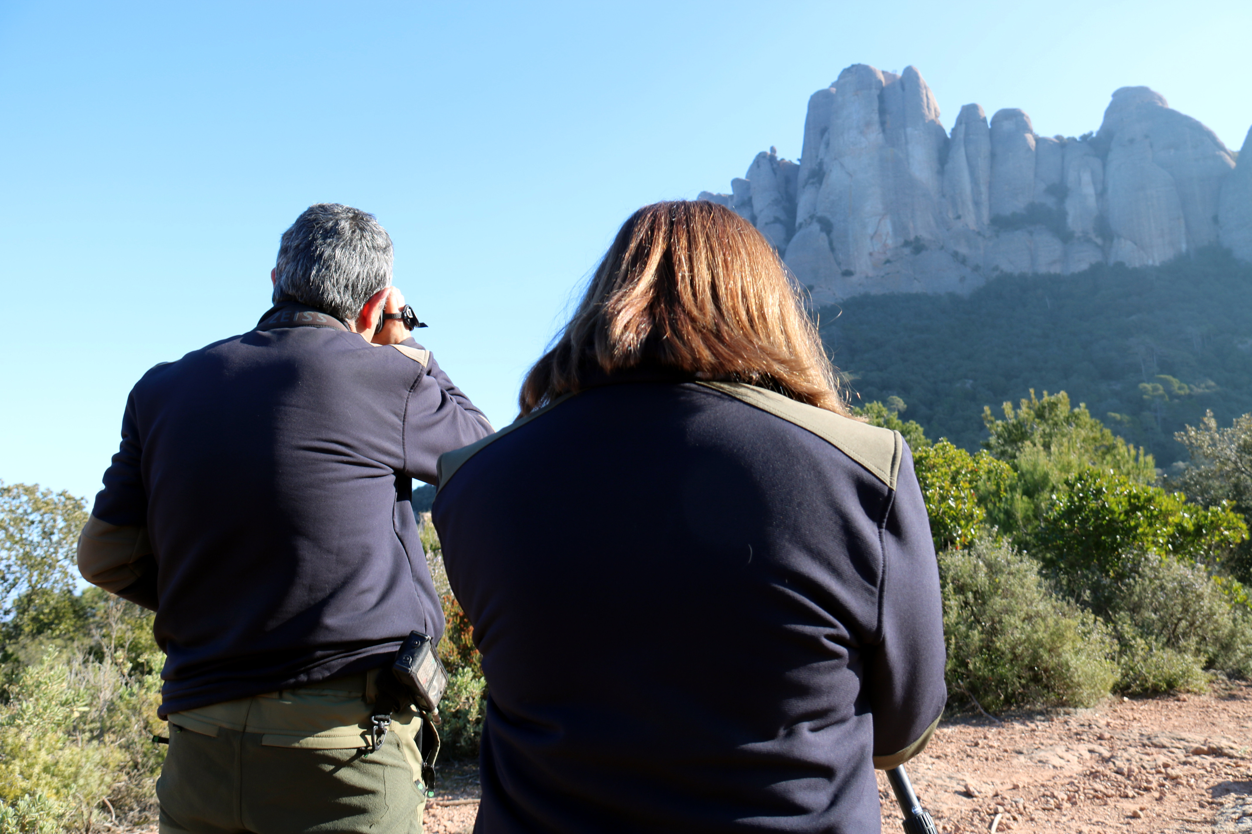 Staff from the agriculture department and Montserrat Natural Park during the goat census