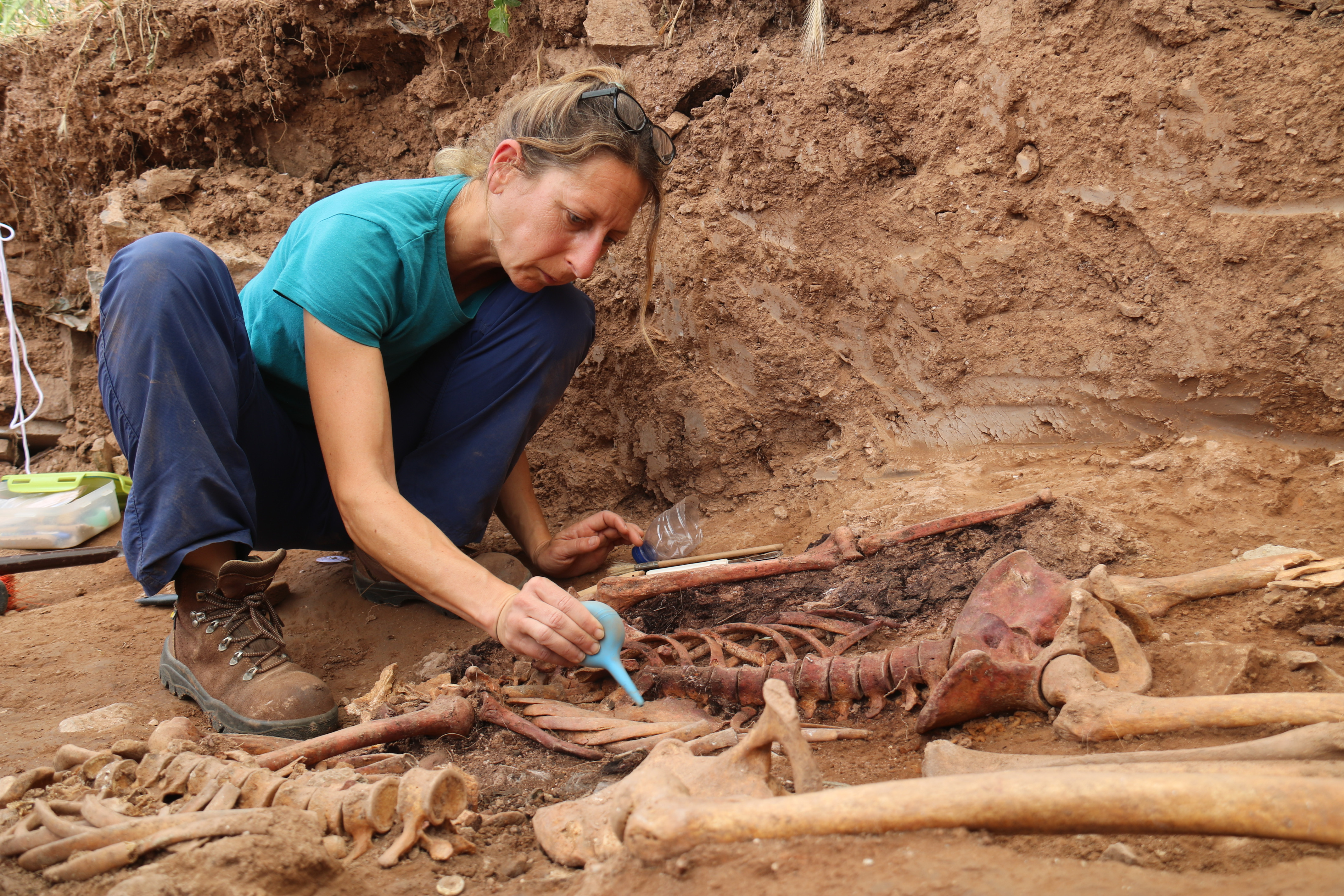 The human remains located during the excavation in the Castellnou de Bages pit