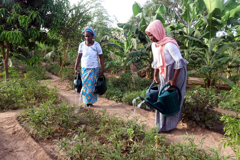 Two women water the cooperative's self-managed garden in the Casamance region, Senegal.