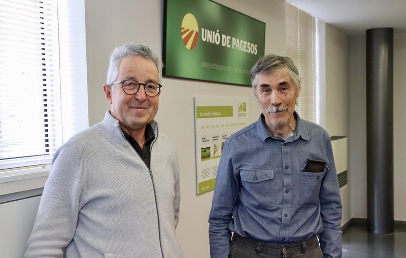 Ramaders d'Osona i Lleida afectats per la pesta del 2001: "No sé com ho vam resistir, no sabies on posar el bestiar"