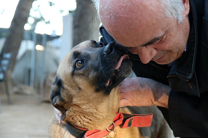 A dog licks a man's face in an animal shelter in Garraf
