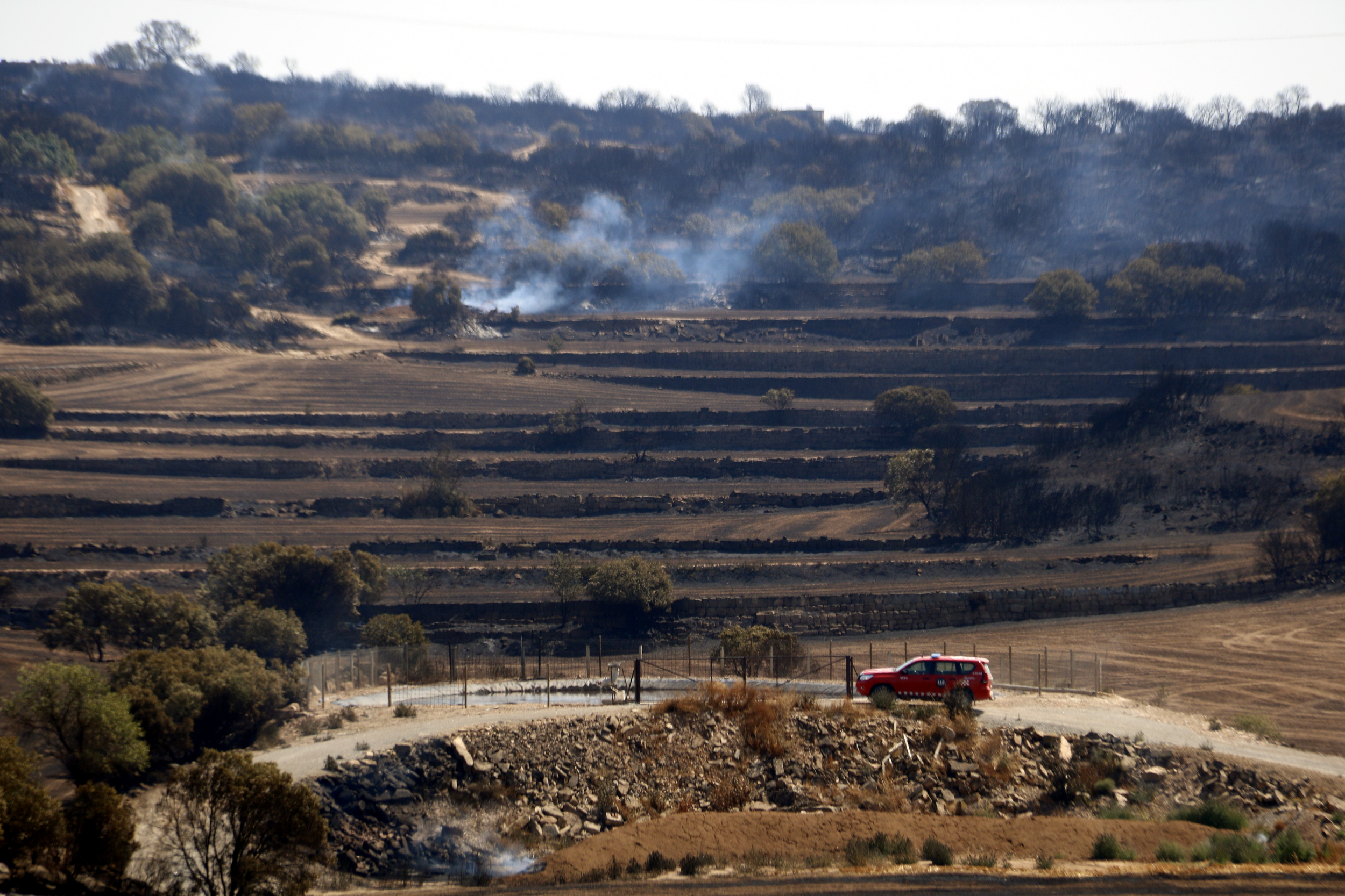 The firefighters check the area after a wildfire in Torrefeta and Florejacs, in western Catalonia