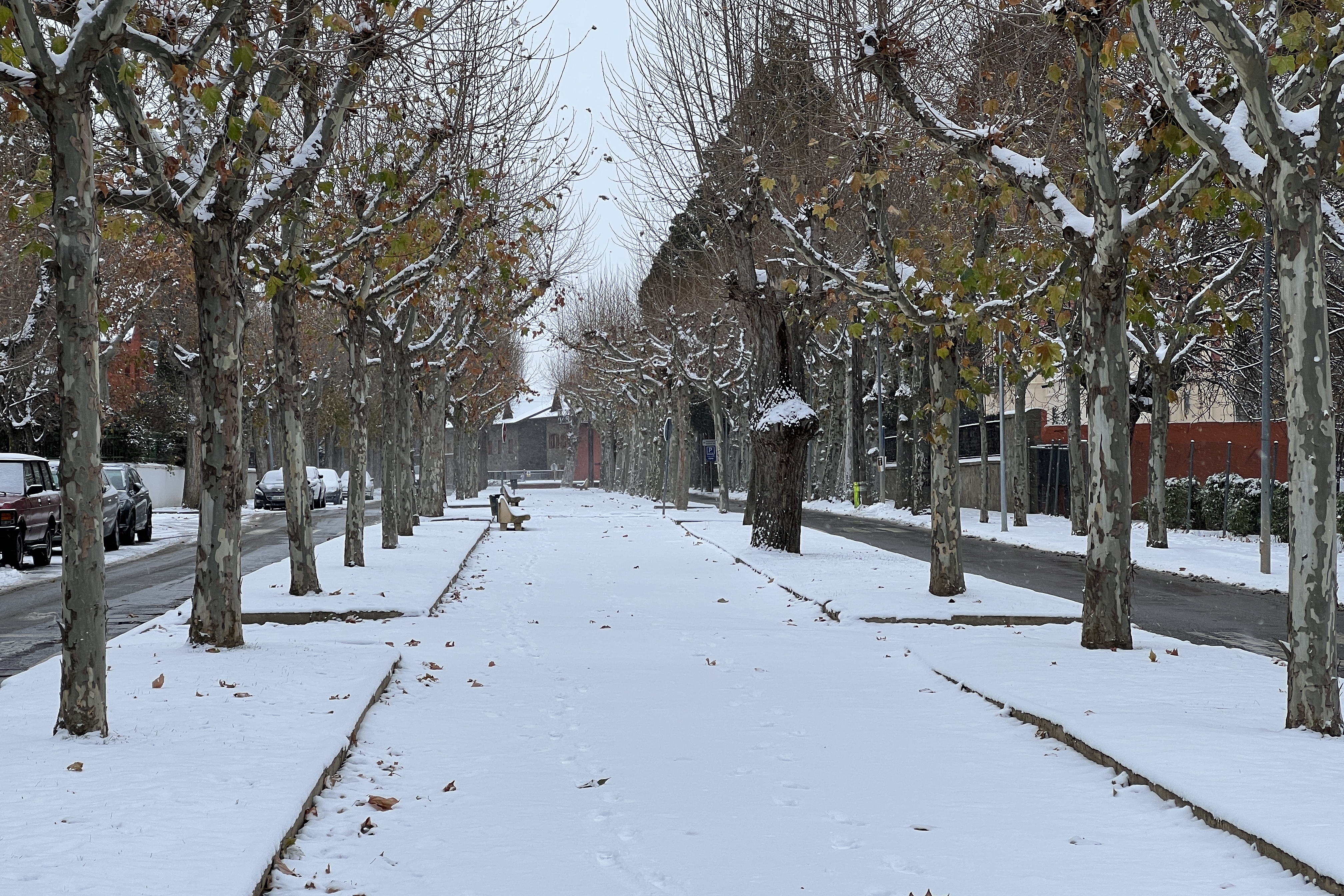 The main part of the Sèquia Boulevard in Puigcerdà after a snowfall