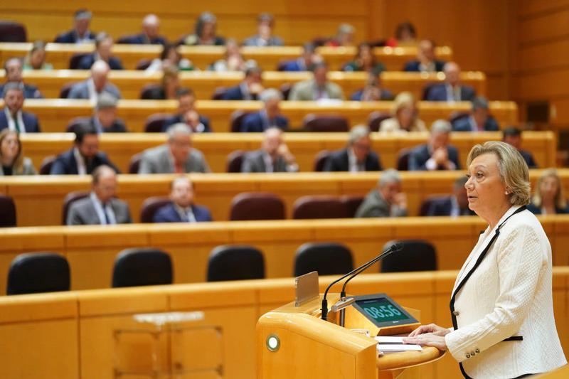 PP's senator Luisa Fernanda Rudi on November 14, 2023