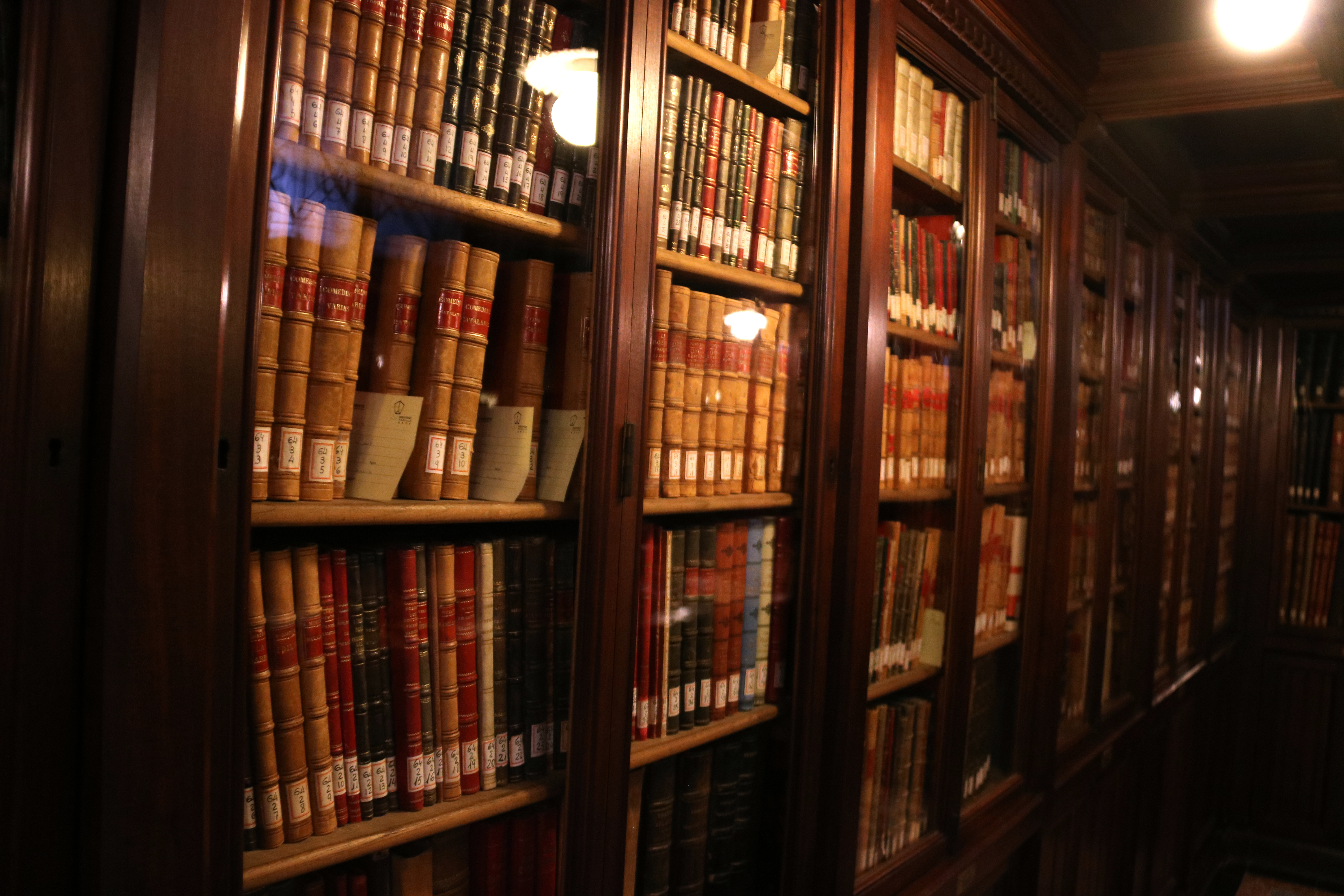 Book shelves in the Biblioteca Pública Arús