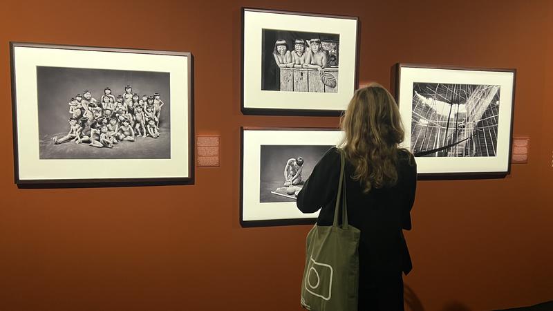 Sebastião Salgado's 'Amazonia' exhibition in Barcelona